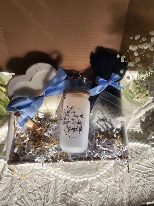 Comfort & Care Gift Basket with These are the Days I have Prayed For